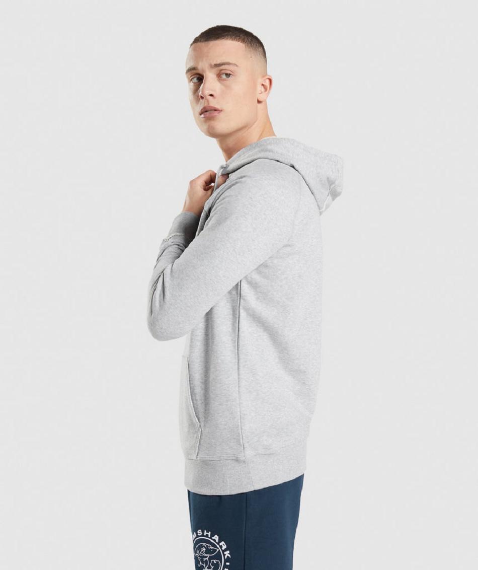 Sudadera Con Capucha Gymshark Legacy Hombre Gris Claro | CO 3625BEX